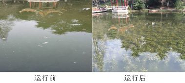 合肥某賓館賓館10000㎡的景觀(guān)水域