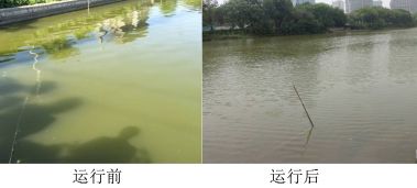 山東某市護(hù)城水體30000㎡