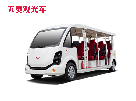 五菱國賓電動車（敞開式和封閉式）